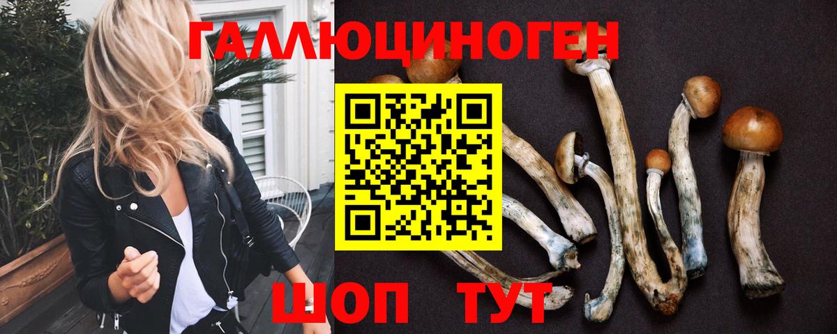 Галлюциногенные грибы Psilocybe Ханты-Мансийск